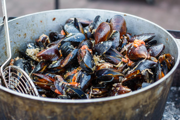 mussels at the counter of the street food festival