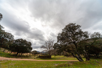 Landscape of the Montes de Toledo.
