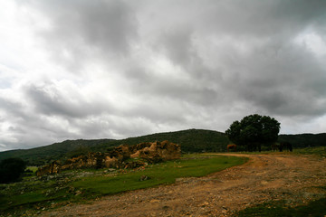 Obraz premium Landscape of the Montes de Toledo.