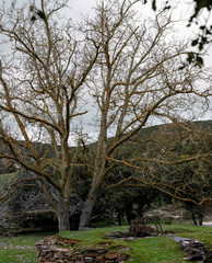 Landscape of the Montes de Toledo.