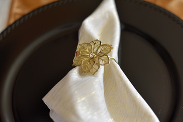 Dinner Place Setting with Napkin