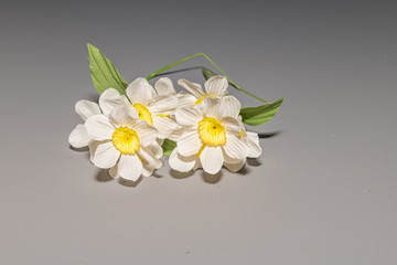 isolated artificial flowers