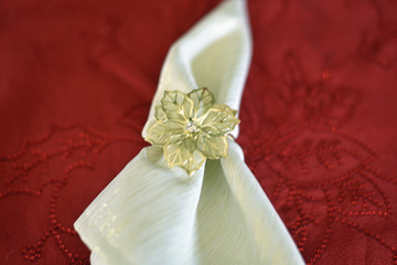 Dinner Place Setting with Napkin