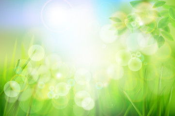 Obraz premium Green meadow in strong sunlight. Nature background. Fresh grass. Spring landscape. Abstract vector illustration.