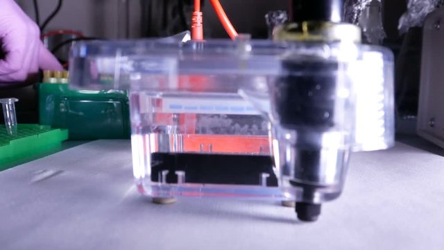 The application of DNA mixed with the application buffer into the agarose gel with an automatic pipette