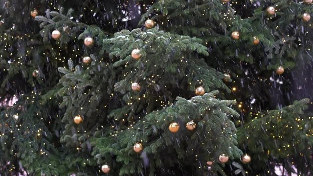 Christmas tree under snow falling in Bellinzona, Switzerland. Shooting in 4K 3840 &times; 2160 video.