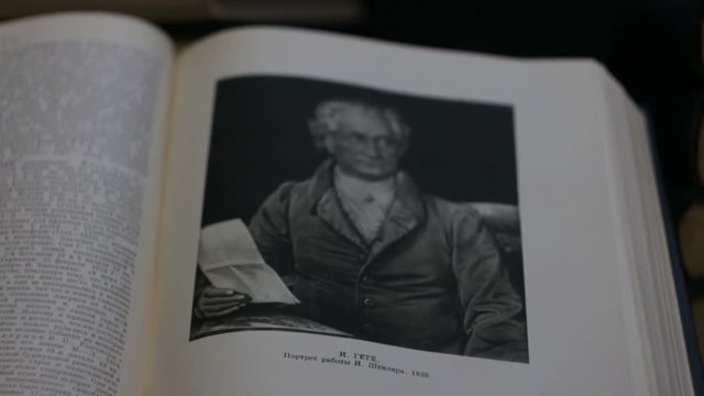 Johann Goethe is a great German writer Portrait