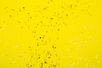 Golden flying sparkles on bright yellow background. Festive backdrop for your projects.