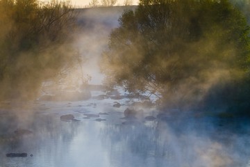 thick fog cover willow trees and adorable river with fast flow and stones in its current, quiet and peaceful misty sunrise, green tourism attraction, mysterious design background