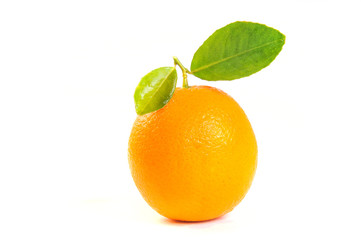 Orange Fruit isolated on white background