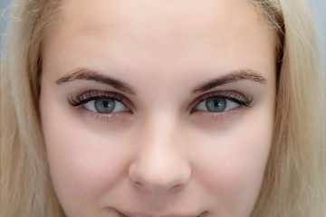 Fototapeta premium Eyelash extensions, natural volume, beautiful woman looking straight in camera