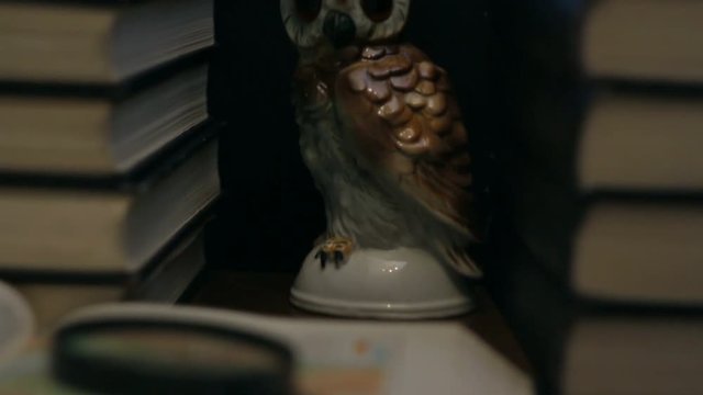 Owl figurine among the stacks of books concept of wisdom