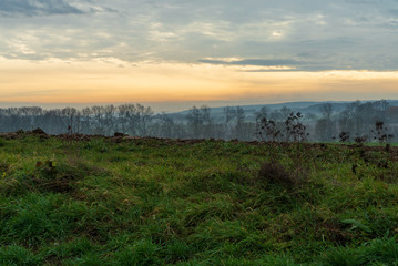 Obraz premium Morgenrot mit nebelumhüllten Bäumen