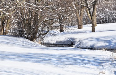 Snowy Stream