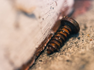 Rusted screw