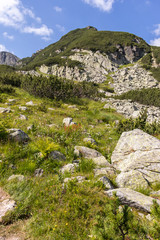 Fototapeta na wymiar The Camel (Kamilata) peak, Rila Mountain, Bulgaria