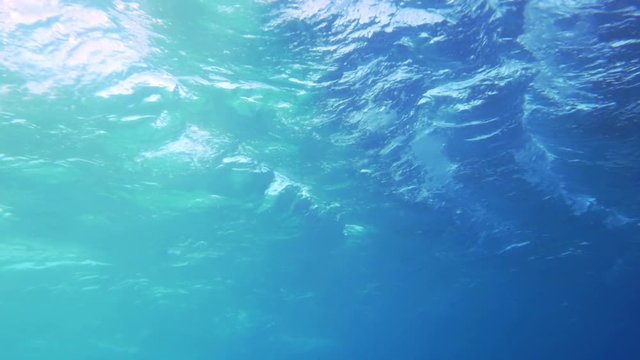 Surge of the Sea