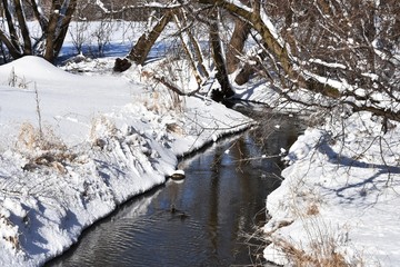 Winter Creek