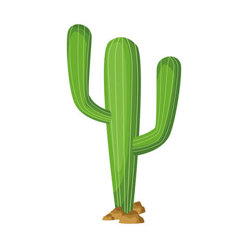 Cactus Clipart Images – Browse 25,893 Stock Photos, Vectors, and Video