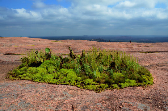 Vernal Pool At Enchanted Rock