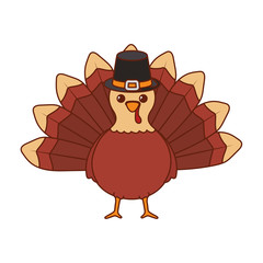 Turkey of thanksgiving day vector design