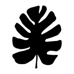 Black and white silhouettes of tropical leaf, tree. Vector botanical illustrations, floral elements, monstera, palm leaves. Hand drawn plant for decoration.