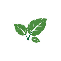 Leaf Mint Logo Template vector symbol