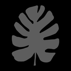 Black and gray silhouettes of tropical leaf, monstera. Vector botanical illustrations, floral elements. Hand drawn plant for decoration.
