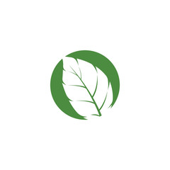 Leaf Mint Logo Template vector symbol