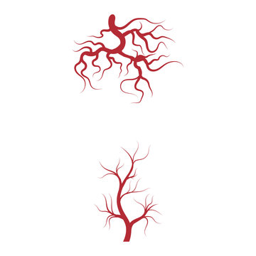 Veins Logo Template vector symbol