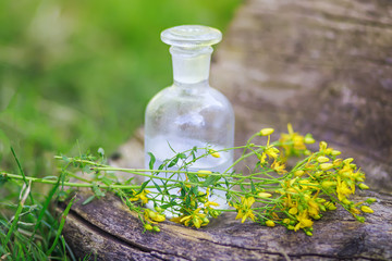 bouquet  Hypericum flowers collected in summer on tinctures. clear bottle with elixir cork. bottle of medicine on stump in forest on background of green grass.