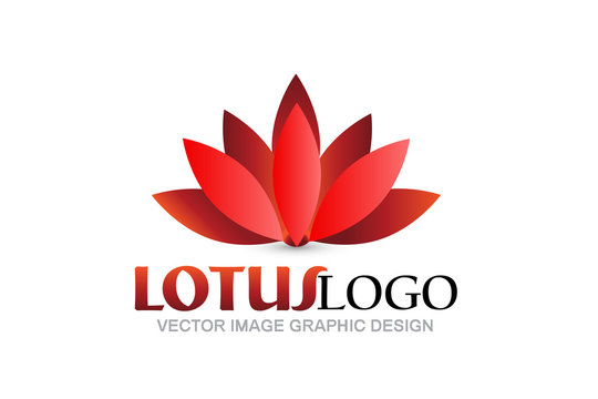 Logo red lotus flower vector image