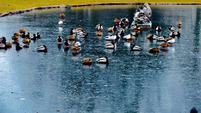 The piece of the nature. This original photo was made by Fujifilm FinePix HS30EXR and then was filtered by iOS instruments.