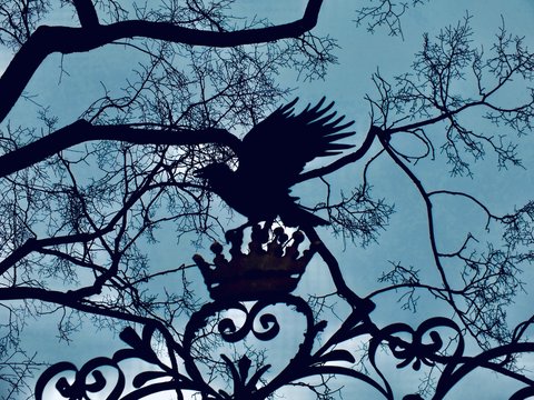 The silhouette on the fence. This original photo was made by Fujifilm FinePix HS30EXR and then was filtered by iOS instruments.