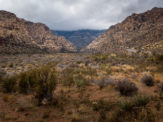 Red Rock Canyon