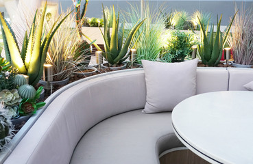 The curve shape sofa and the artificial cactus decoration with the beautiful dim light.Outdoor...
