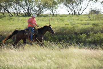 Working Cowboy