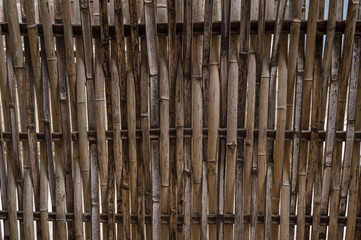 Bamboo fence detail
