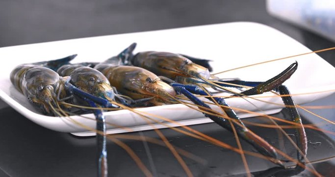 Close up scene video of chef is clamping the fresh prawns onto a plate to prepare delicious meals in the kitchen.