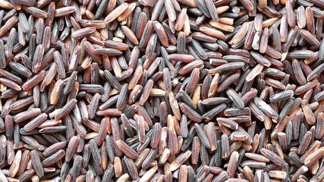 Rice Berry Is rice that still has paddy mixed in Which is rice with high nutritional value