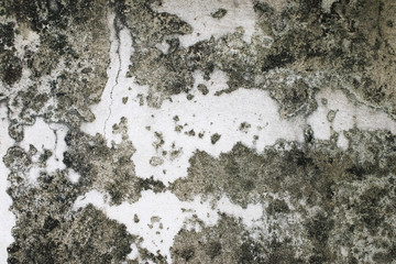 Skin of old cement wall texture background