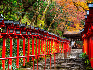 秋の京都　貴船神社