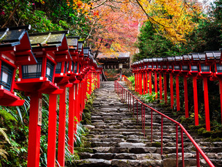 秋の京都　貴船神社