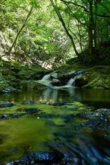 Obraz premium 赤目四十八滝 初夏の渓流の情景＠三重県