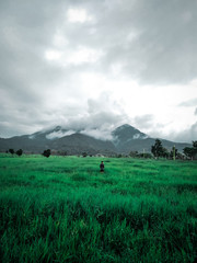 landscape with mountains and clouds