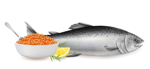 Red salmon fish caviar, vector realistic isolated illustration