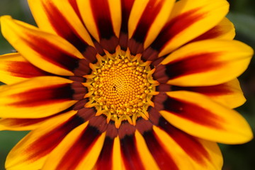 belleza en el detalle