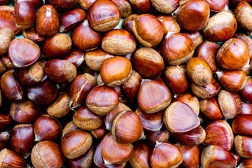 Obraz premium Stack of hazelnuts. Hazelnut background.