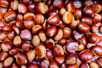 Stack of hazelnuts. Hazelnut background.