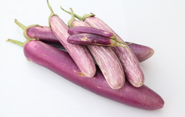 purple eggplant isolated on white background with path